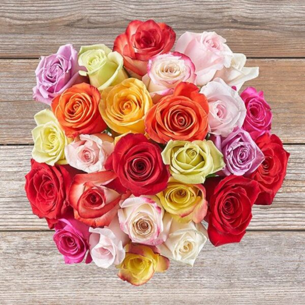 Roses – Exuberance –  Captivating hues like pink, orange, purple, red, and ivory.