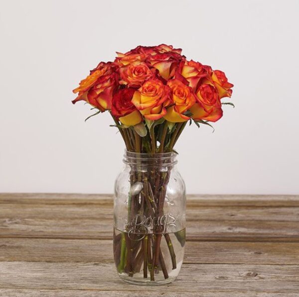 Roses - Fortified With Mason Vase