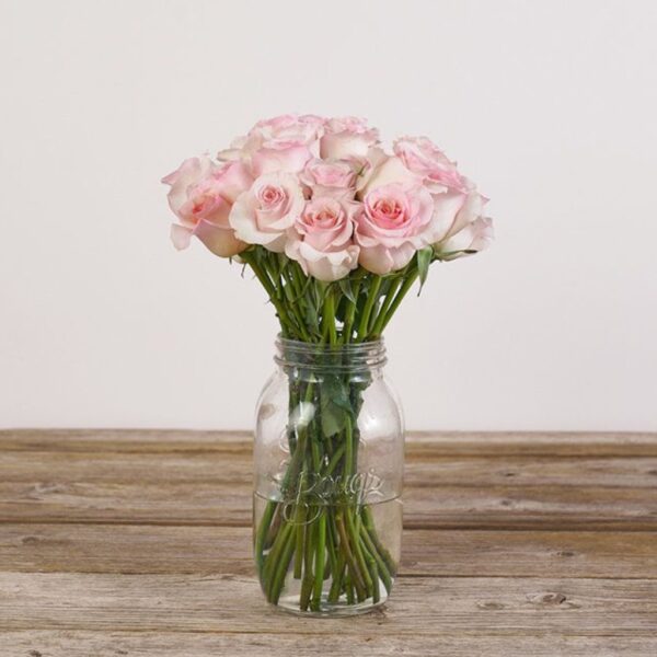 Rose - The Angels - Mason Vase - Heavenly Bunch of light pink roses.